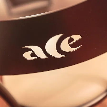 Hotel Ace Saint Avold 3*