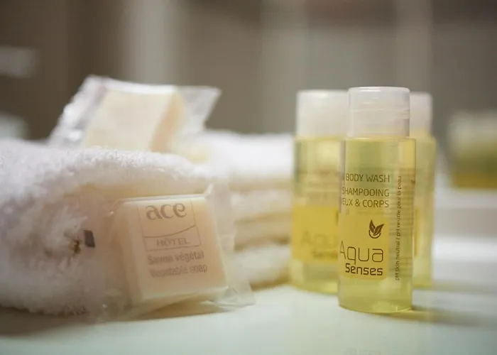 Ace Saint Avold Hotel